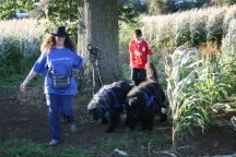 Winnie and Tally in the sun