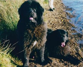 Jasper & Rosie