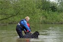 picture of owner holding black newfoundland dog whilst she helps the swimmer from the water /