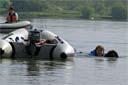 picture of brown newfoundland dog returning to shore with stranger