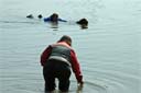 picture of owner on shore calling dog, which is returning with person