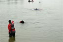 picture of owner sending black newfoundland dog out to swimmer with life jacket