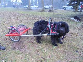 Langold Draught Test