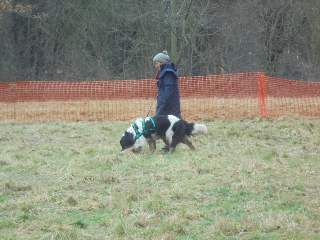 Langold Draught Test