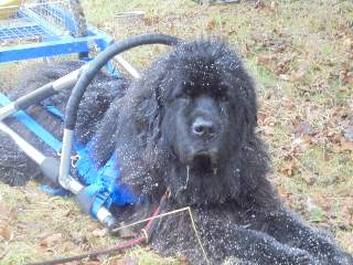 Langold Draught Test